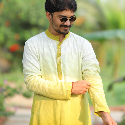 Collection image for: Ready made Men Kurtas