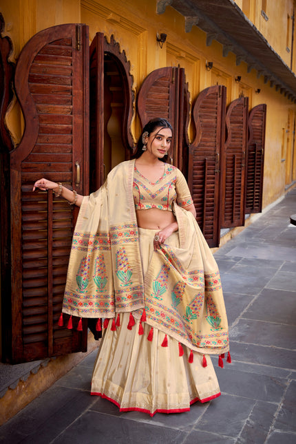 Paithani-style lehenga  SS144