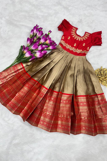 Heavy zari weaving work Gown SS706