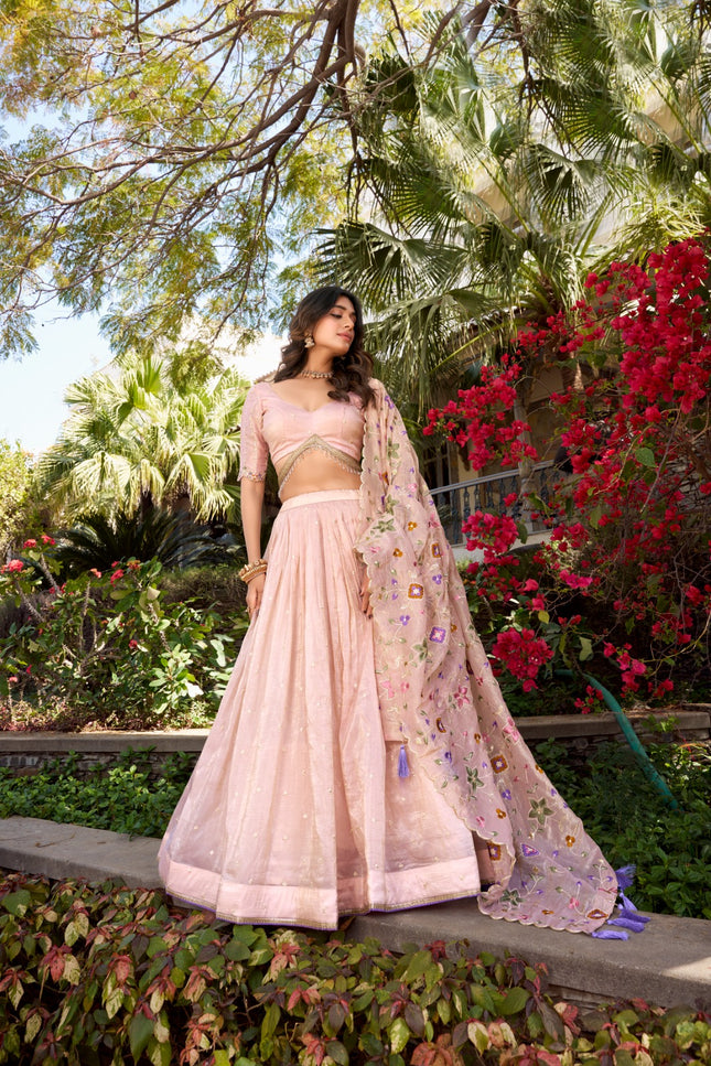 A rose in full bloom, glowing in pink SS720