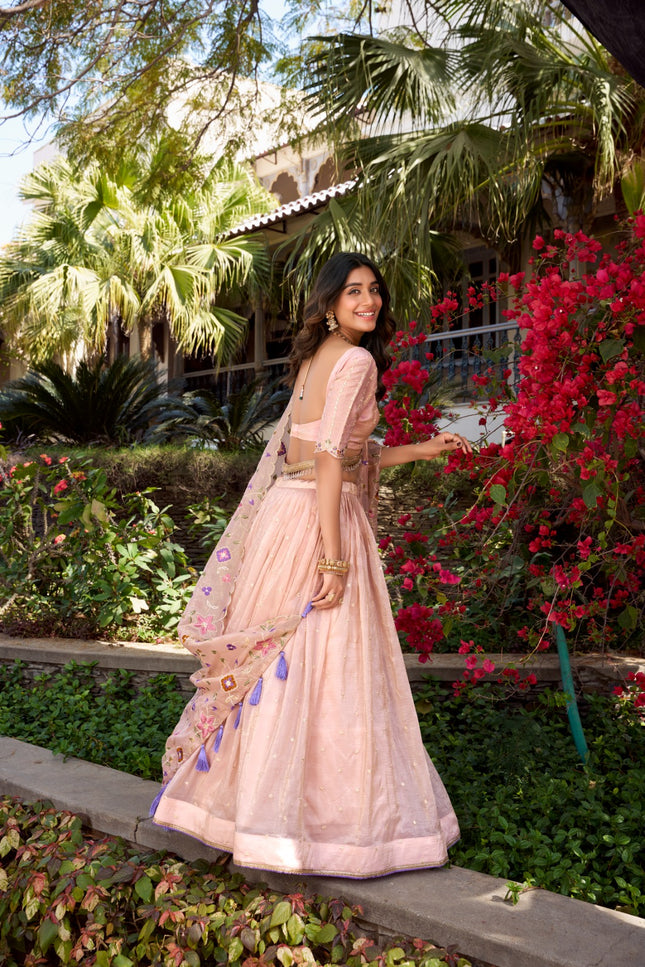 A rose in full bloom, glowing in pink SS720