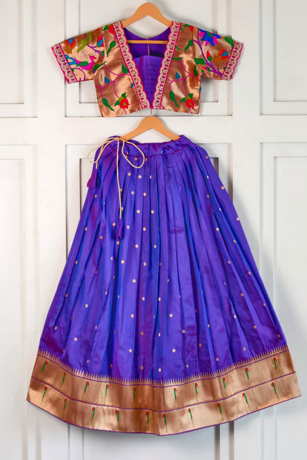 Beautiful Paithani Skirt Top SS788