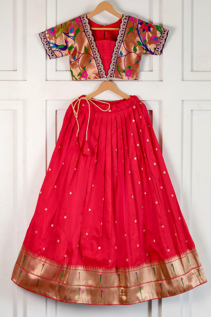 Beautiful Paithani Skirt Top SS788