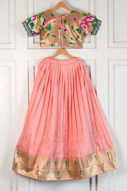 Beautiful Paithani Skirt Top SS788