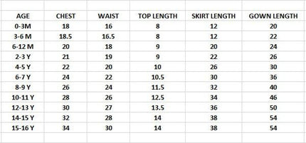 Beautiful Paithani Skirt Top SS788