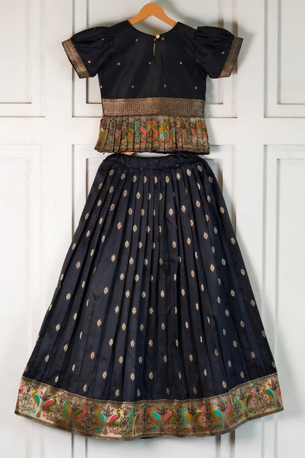 Elegant ethnic Girls skirt and top  SS895