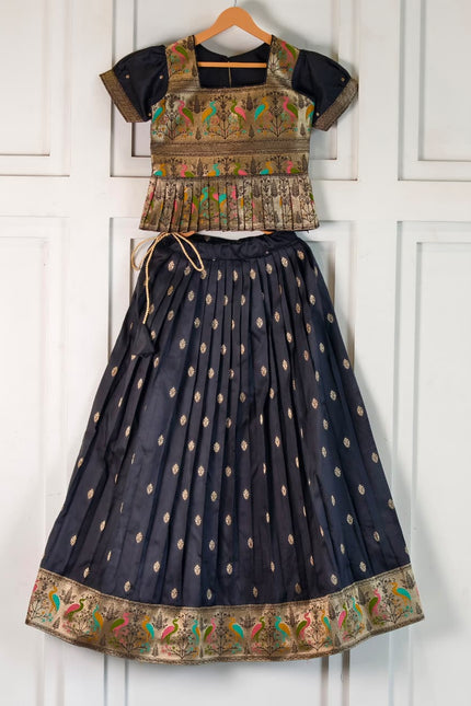 Elegant ethnic Girls skirt and top  SS895