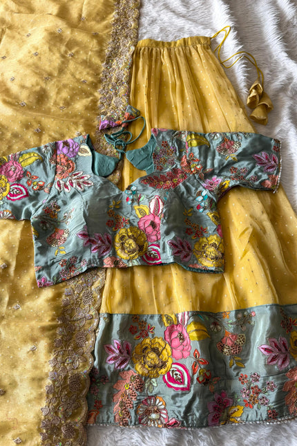 Soft salsa fabric Lehanga SS762
