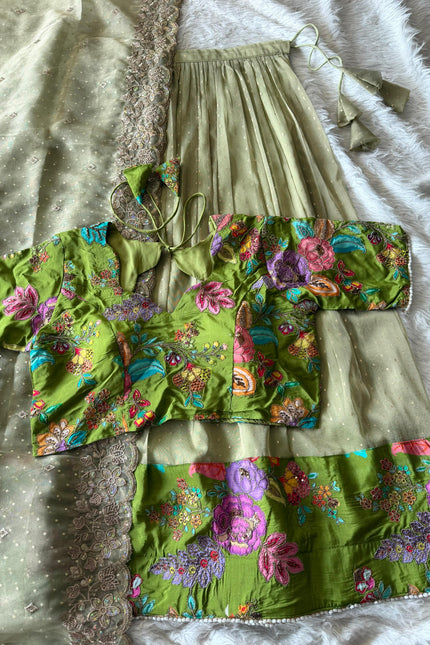 Soft salsa fabric Lehanga SS762