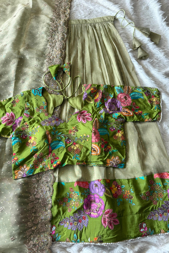 Soft salsa fabric Lehanga SS762