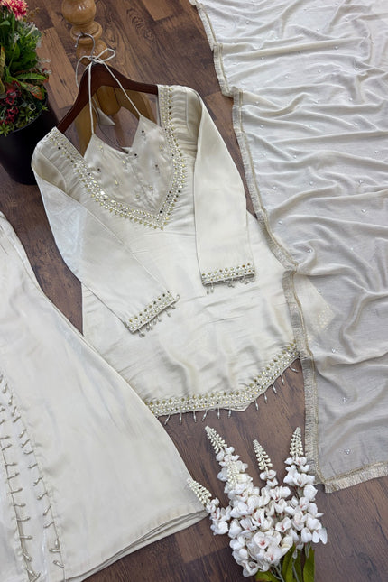 Beautiful Moti Work Women’s Ethnic Wea SS854